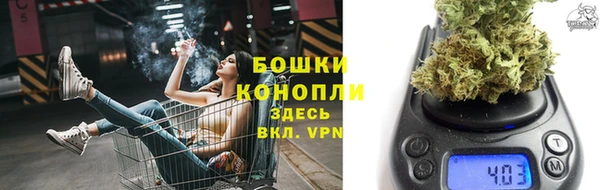 гидропоника Алзамай