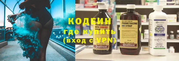 хмурый Алексин