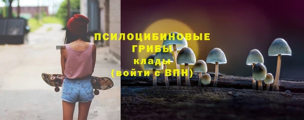 гидропоника Алзамай