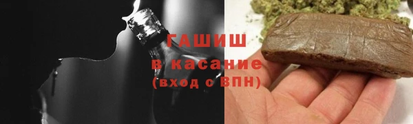 хмурый Алексин