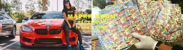 гидропоника Алзамай