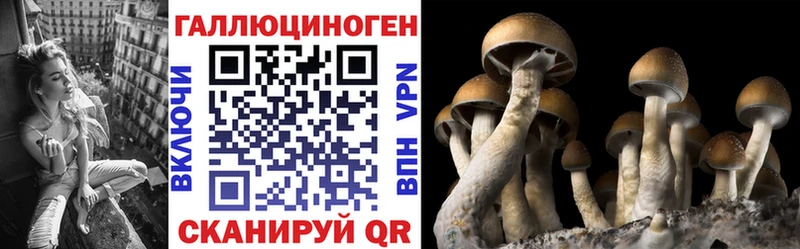Псилоцибиновые грибы Cubensis  Алупка 